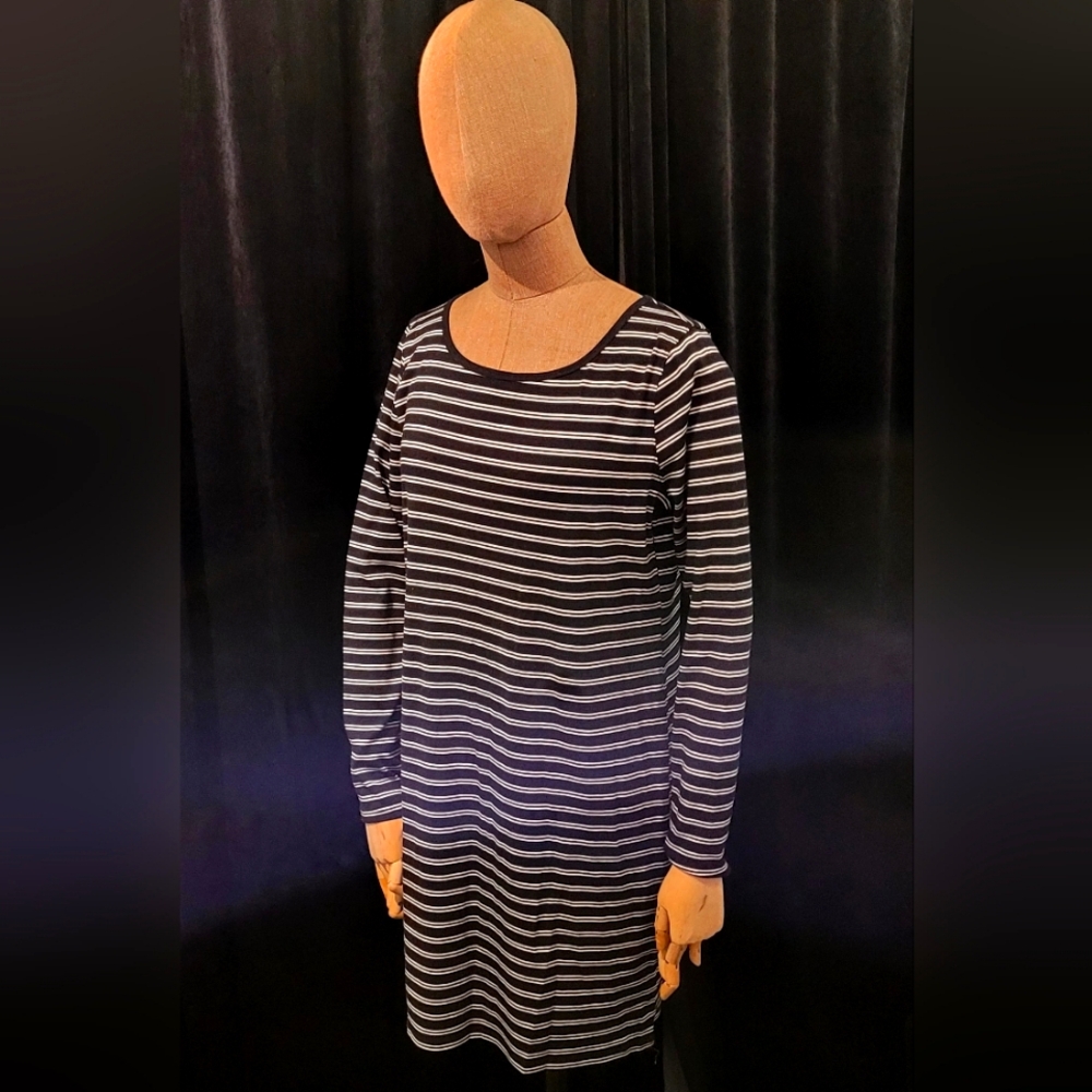 NWT long sleeve mini dress